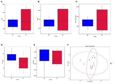 Fermented Wheat Bran Polysaccharides Intervention Alters Rumen Bacterial Community and Promotes Rumen Development and Growth Performance in Lambs